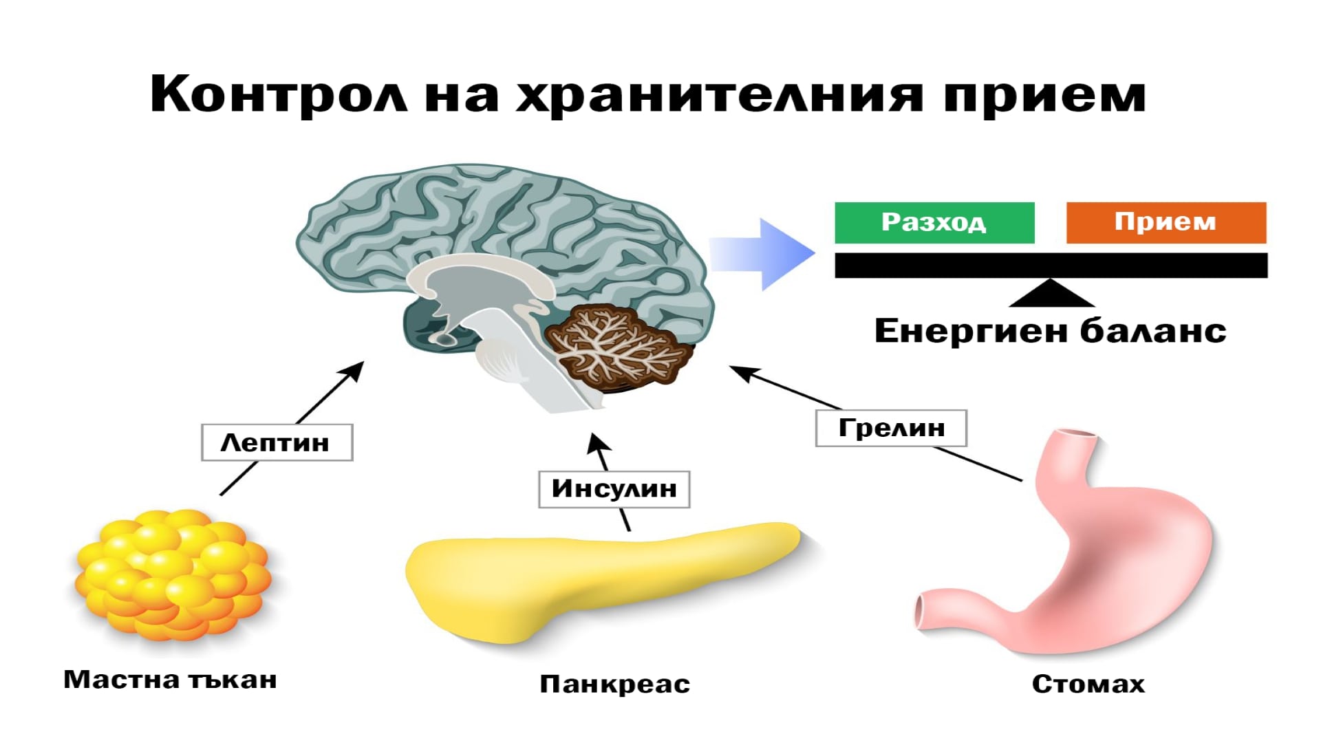 Высокий билирубин